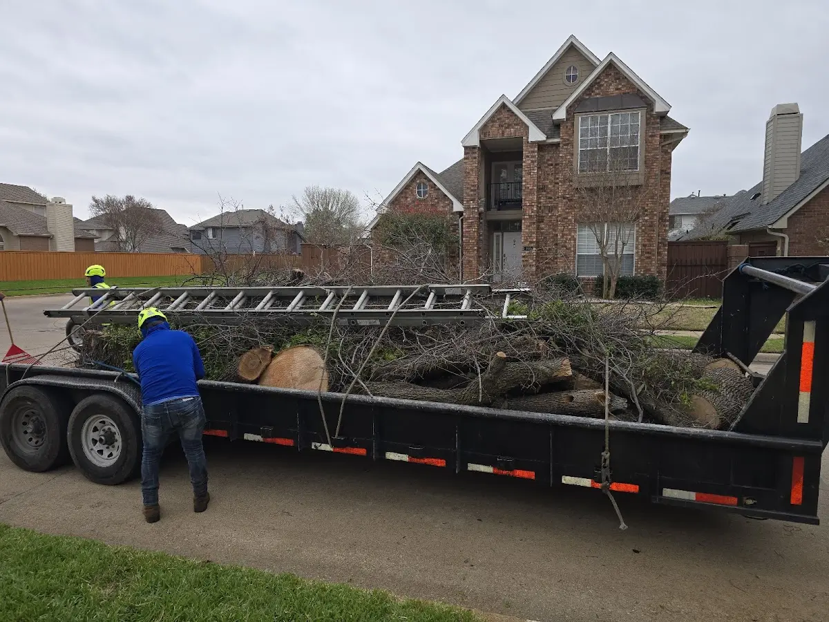 Expert Tree Pest Control with proper safety equipment in Worthing